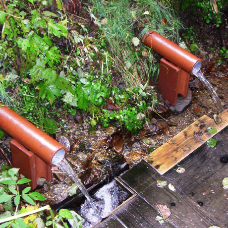 写真：仁宇布の冷水